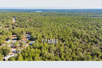 Xx Jim Cotton Drive, Defuniak Springs, FL 32433 - Photo 4
