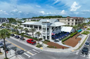 3958 W County Hwy 30A Way, Santa Rosa Beach, FL 32459 - Photo 50