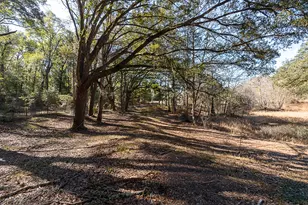 1770 B Hwy 181, Westville, FL 32464 - Photo 32