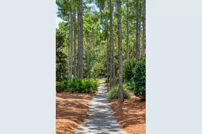 226 Medley Street, Inlet Beach, FL 32461 - Photo 36