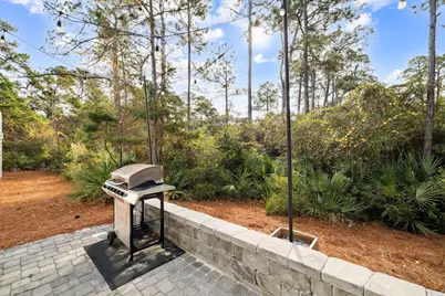 345 Dolphin Drive, Santa Rosa Beach, FL 32459 - Photo 60