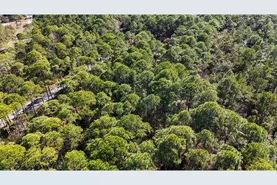 1.9 Acres Red Barn Road, Freeport, FL 32439 - Photo 8