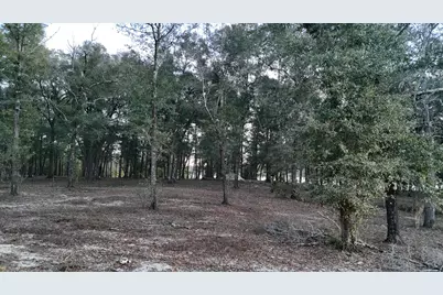 Xxxx St Highway 83, Defuniak Springs, FL 32433 - Photo 10