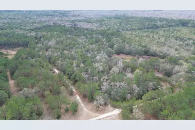 3878 River Road, Vernon, FL 32462 - Photo 10