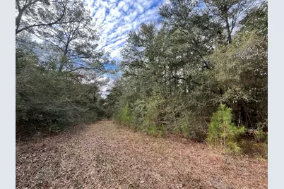 3878 River Road, Vernon, FL 32462 - Photo 22