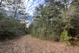3878 River Rd, Vernon, FL 32462 - Photo 22