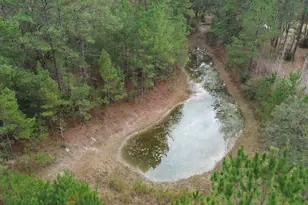 3878 River Rd, Vernon, FL 32462 - Photo 24
