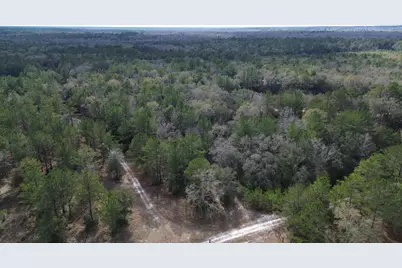 3878 River Road, Vernon, FL 32462 - Photo 12