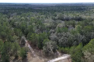 3878 River Rd, Vernon, FL 32462 - Photo 12