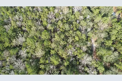 3878 River Road, Vernon, FL 32462 - Photo 18