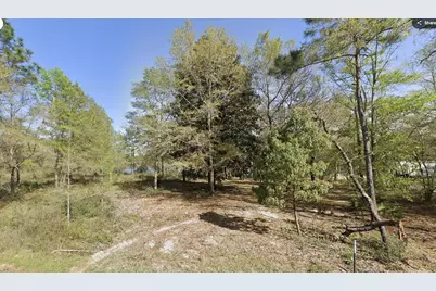 Lot 29 E Michaelanglo Road, Defuniak Springs, FL 32433 - Photo 2