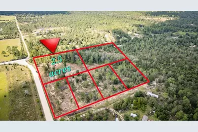 1438 Lake Lillian Road, Fountain, FL 32438 - Photo 8