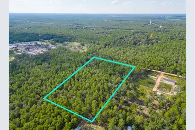5 Acres Carol Lane, Defuniak Springs, FL 32433 - Photo 6