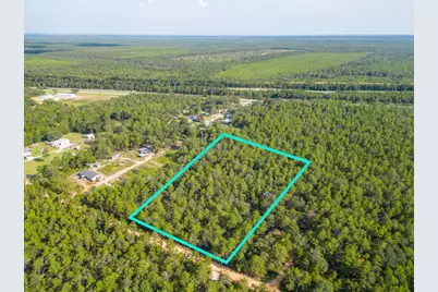 5 Acres Carol Lane, Defuniak Springs, FL 32433 - Photo 2