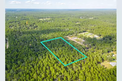 5 Acres Carol Lane, Defuniak Springs, FL 32433 - Photo 8