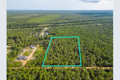 5 Acres Carol Lane, Defuniak Springs, FL 32433 - Photo 4