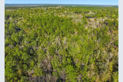 21 Acres Rock Hill Road, Ponce de Leon, FL 32455 - Photo 10