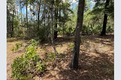 Lot 39 Blk 68 On Clearwater, Defuniak Springs, FL 32433 - Photo 4
