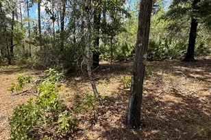 Lot 39 Blk 68 On Clearwater, Defuniak Springs, FL 32433 - Photo 4