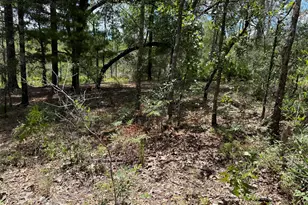 Lot 39 Blk 68 On Clearwater, Defuniak Springs, FL 32433 - Photo 6