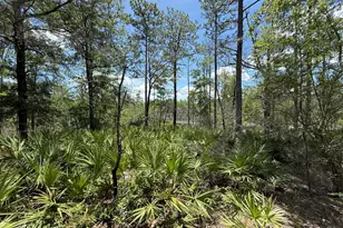 Lot 39 Blk 68 On Clearwater, Defuniak Springs, FL 32433 - Photo 2