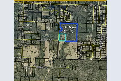 6051 Tupelo Street, Crestview, FL 32539 - Photo 6