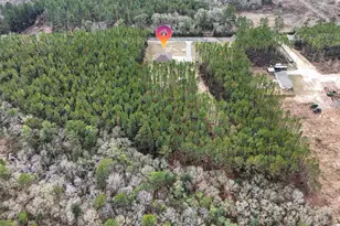 1836 Williams Rd, Defuniak Springs, FL 32433 - Photo 4