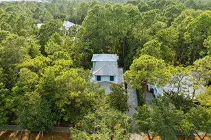 298 Cullman Ave, Santa Rosa Beach, FL 32459 - Photo 44