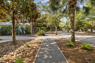 298 Cullman Ave, Santa Rosa Beach, FL 32459 - Photo 48