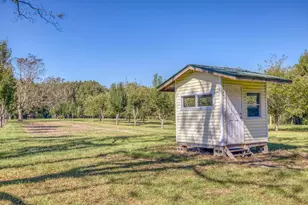 1650 Bear Bay Flats Rd Rd, Laurel Hill, FL 32567 - Photo 62
