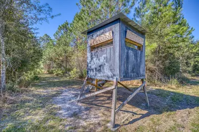1650 Bear Bay Flats Rd Road, Laurel Hill, FL 32567 - Photo 34