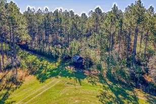 1650 Bear Bay Flats Rd Rd, Laurel Hill, FL 32567 - Photo 154