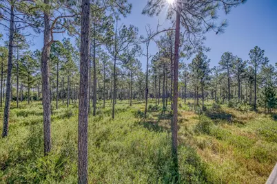1650 Bear Bay Flats Rd Road, Laurel Hill, FL 32567 - Photo 26