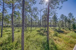 1650 Bear Bay Flats Rd Rd, Laurel Hill, FL 32567 - Photo 26