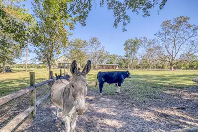 1650 Bear Bay Flats Rd Road, Laurel Hill, FL 32567 - Photo 44