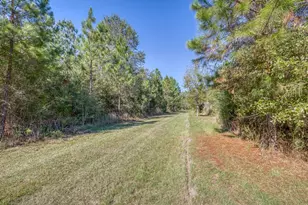 1650 Bear Bay Flats Rd Rd, Laurel Hill, FL 32567 - Photo 38