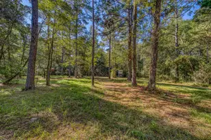 1650 Bear Bay Flats Rd Rd, Laurel Hill, FL 32567 - Photo 12