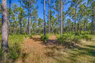 1650 Bear Bay Flats Rd Rd, Laurel Hill, FL 32567 - Photo 30