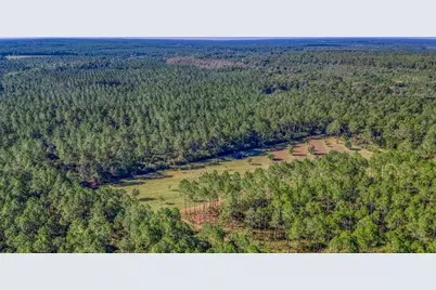 1650 Bear Bay Flats Rd Road, Laurel Hill, FL 32567 - Photo 156