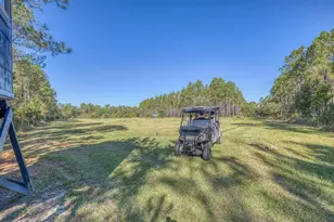 1650 Bear Bay Flats Rd Rd, Laurel Hill, FL 32567 - Photo 8