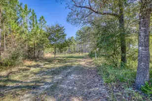 1650 Bear Bay Flats Rd Rd, Laurel Hill, FL 32567 - Photo 22