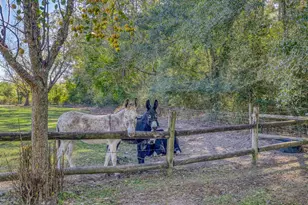 1650 Bear Bay Flats Rd Rd, Laurel Hill, FL 32567 - Photo 42