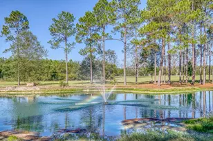 1650 Bear Bay Flats Rd Rd, Laurel Hill, FL 32567 - Photo 50