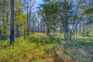 1650 Bear Bay Flats Rd Rd, Laurel Hill, FL 32567 - Photo 18