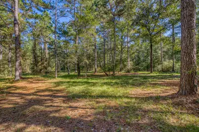 1650 Bear Bay Flats Rd Road, Laurel Hill, FL 32567 - Photo 16