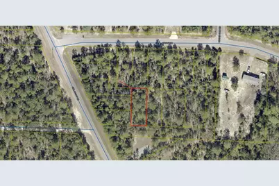 Lots 24/25 Off Girl Scout Road, Defuniak Springs, FL 32433 - Photo 1