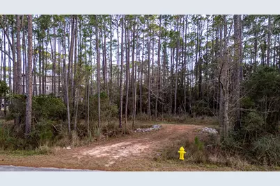 Lot 4 Whisper Lane, Santa Rosa Beach, FL 32459 - Photo 14