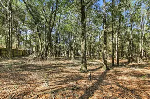 6108 Old River Rd, Baker, FL 32531 - Photo 36