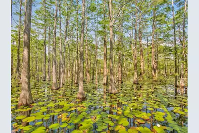 Lot 11B Cypress Passage, Santa Rosa Beach, FL 32459 - Photo 14