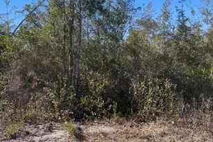 0 N Patrick St, Port Saint Joe, FL 32456 - Photo 1